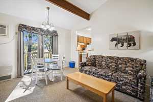 vacation rental condos