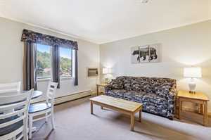 vacation rental condos